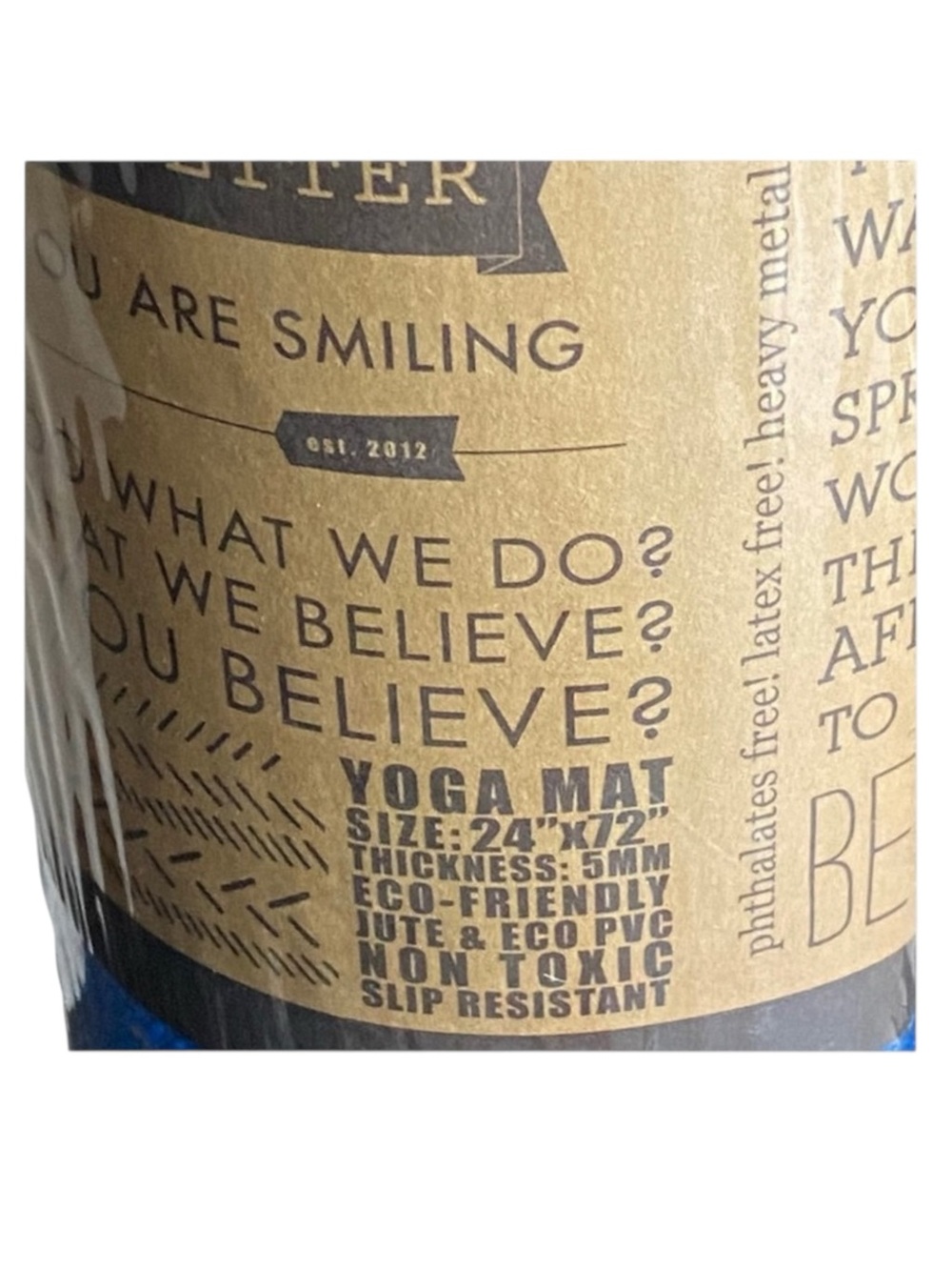 new Affirmats x Patrick Cooper 𓁹 Live Authentic Yoga Mat 𓁹 Blue Silk 5mm Thick - Picture 9 of 16
